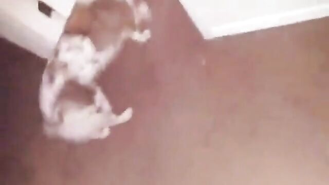 Real sister shows her brother her tits - 1 image