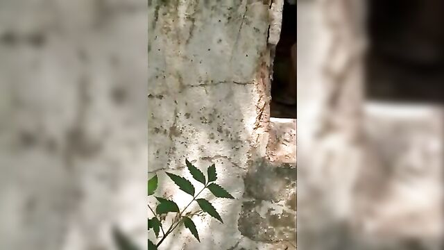 Indian village boy fucking his own mother outdoor - 4 image